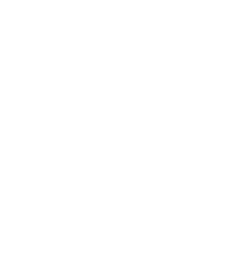 Marianetti Motors